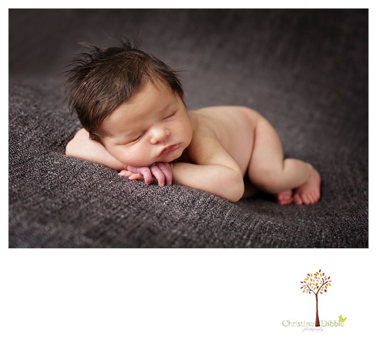 Newborn photography by best Sonora newborn photographer Christine Dibble Photography takes studio portraits of a baby boy with lots of hair.