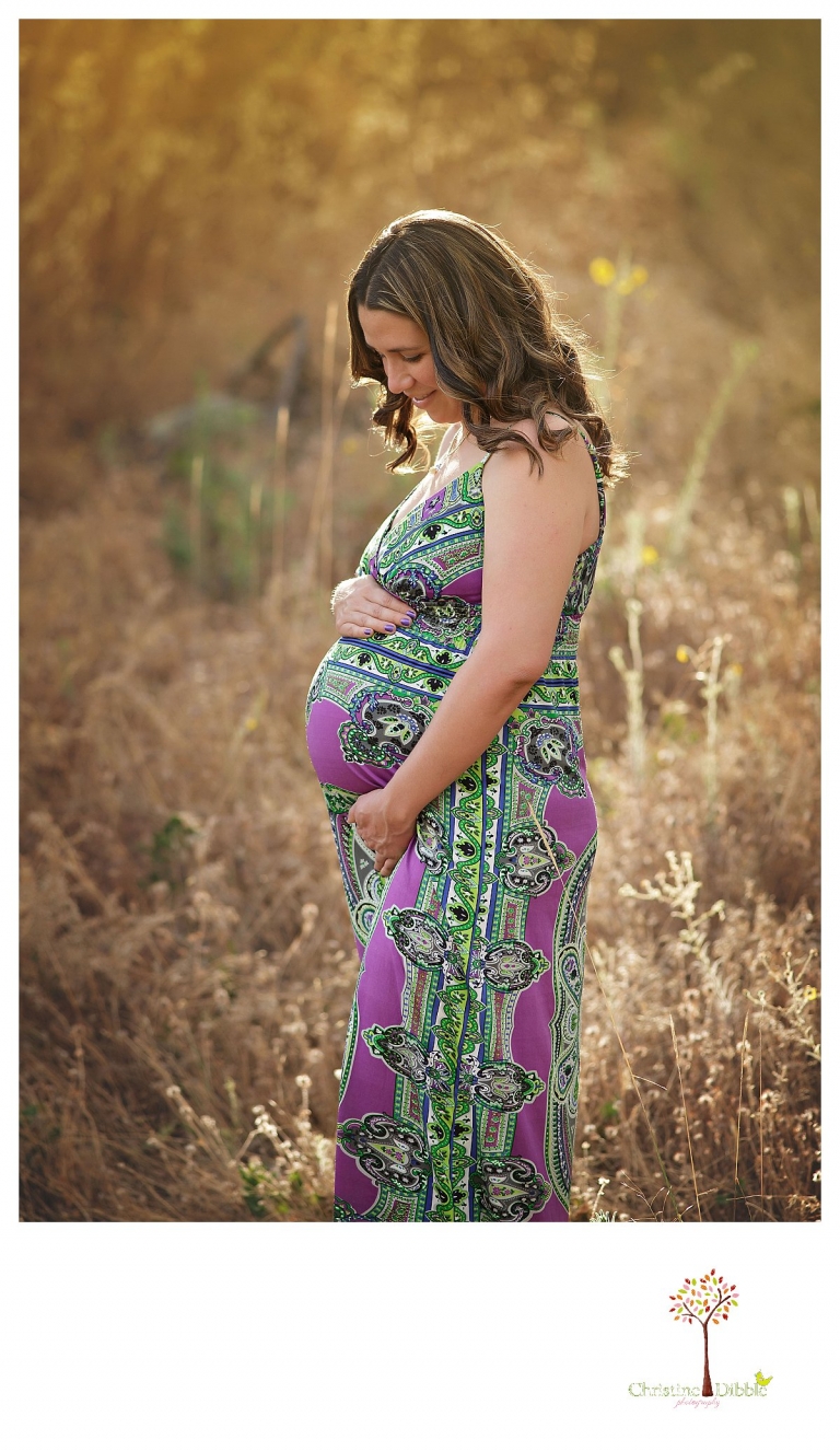 Sonora maternity photography session by Christine Dibble Photography shows a pregnant woman in a multi-colored dress and golden sunlight.