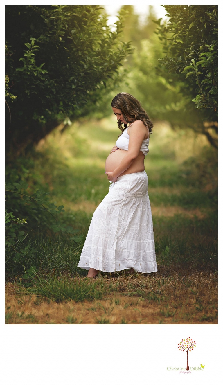 Sonora maternity photography session by Christine Dibble Photography shows a pregnant woman standing among the apple trees in the orchard at Indigeny Reserve.