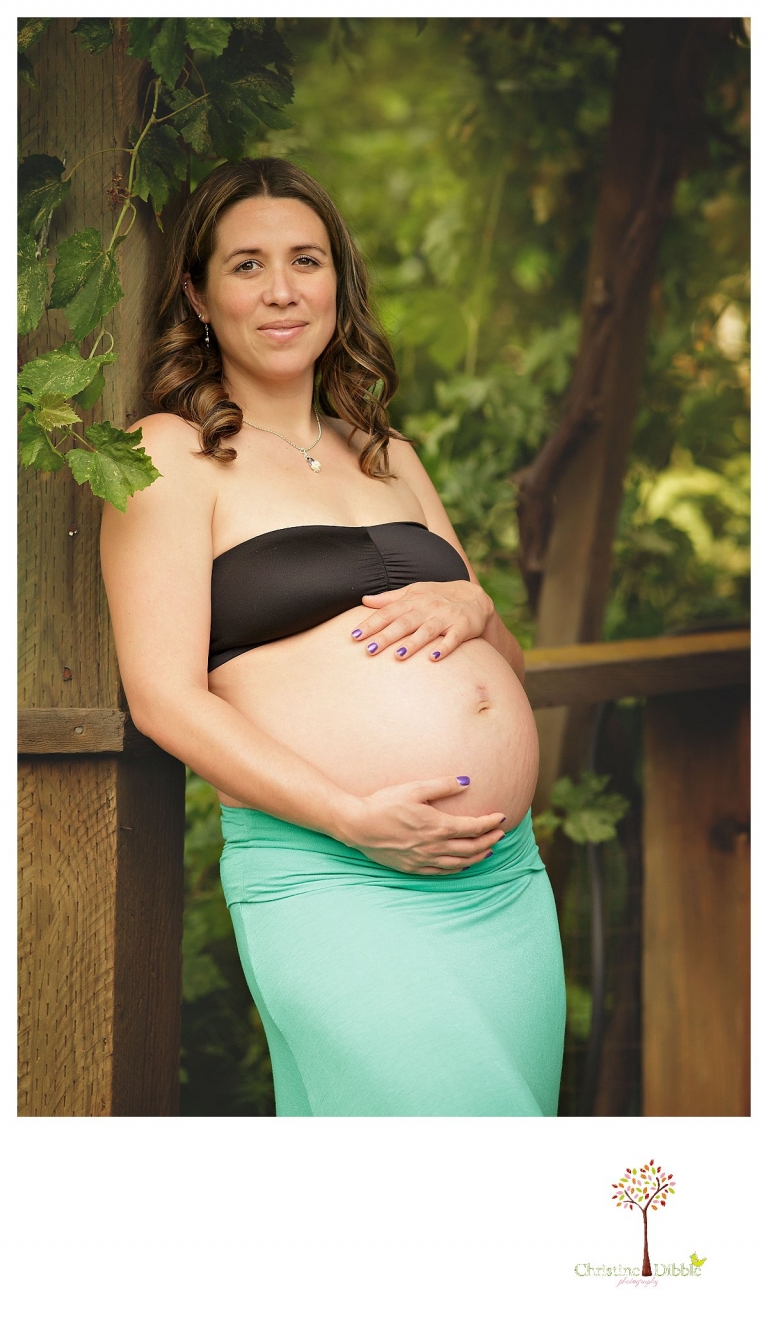 Sonora maternity photography session by Christine Dibble Photography shows a pregnant woman leaning among the grape vines on the Indigeny Reserve covered bridge.