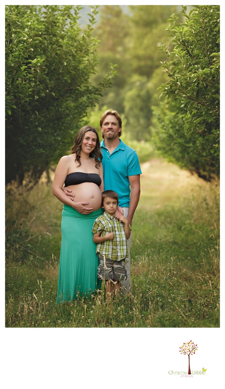 Sonora maternity photography session by Christine Dibble Photography shows a pregnant woman and her family posing in the apple orchard for a family maternity photo.