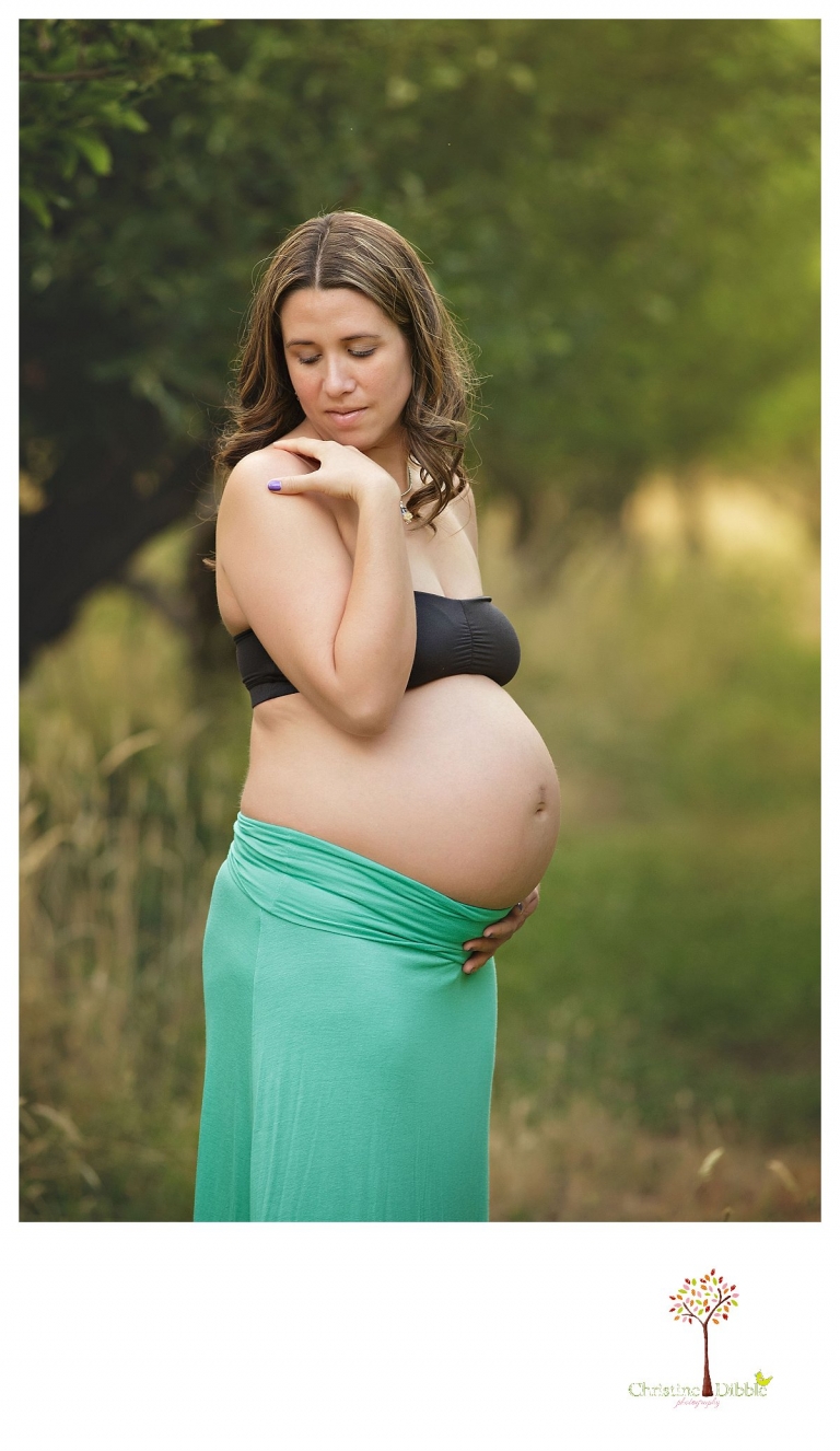 Sonora maternity photography session by Christine Dibble Photography shows a pregnant woman posing for a maternit session portrait.