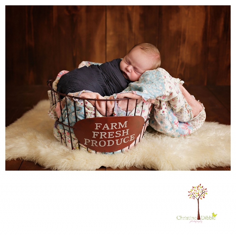 Christine Dibble Photography takes Sonora newborn photography portraits of a baby boy in a treasured quilt and an apple basket.