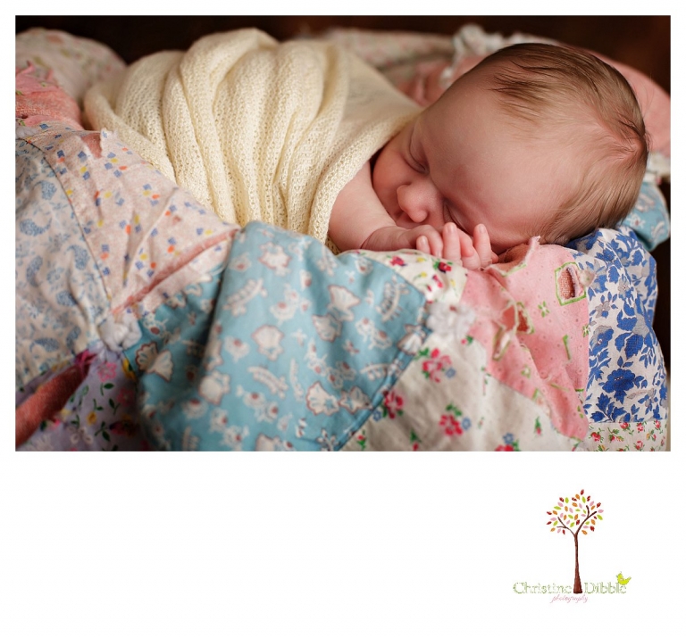 Christine Dibble Photography takes Sonora newborn photography portraits takes photos of babies snuggled in wraps and buckets.