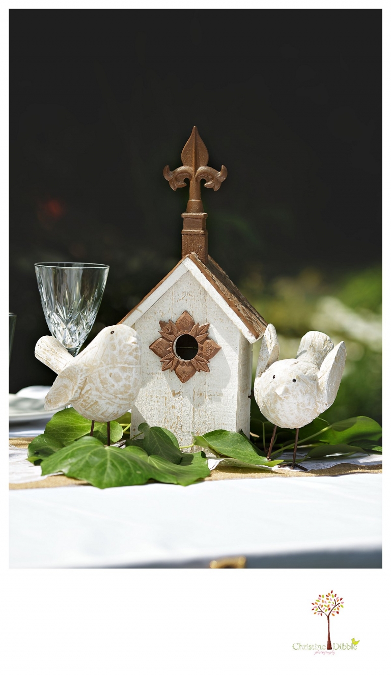 Wedding photography in Sonora by Christine Dibble Photography photographs a birdhouse and two birds on the head table.