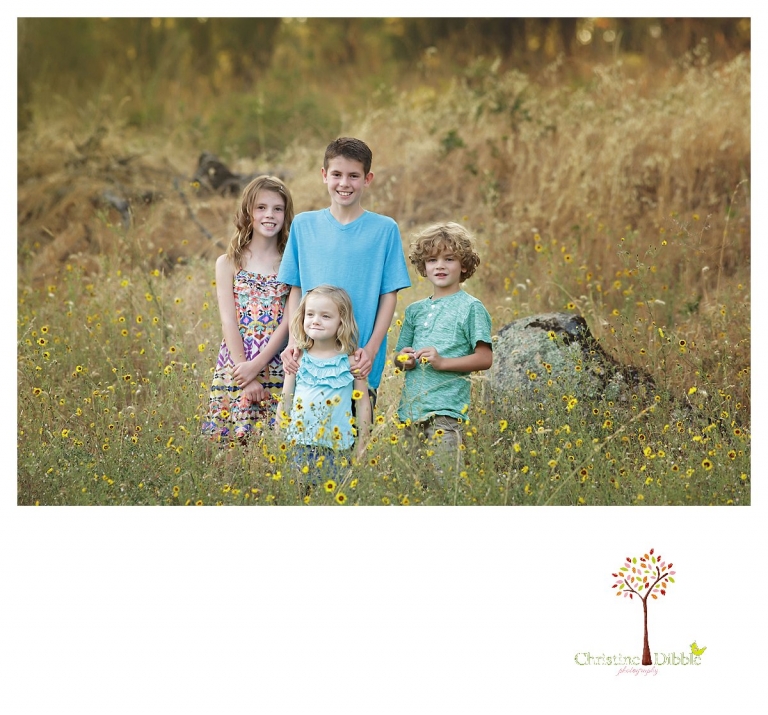Sonora family photographer Christine Dibble Photography takes portraits of cousing among wildflowers at Indigeny.