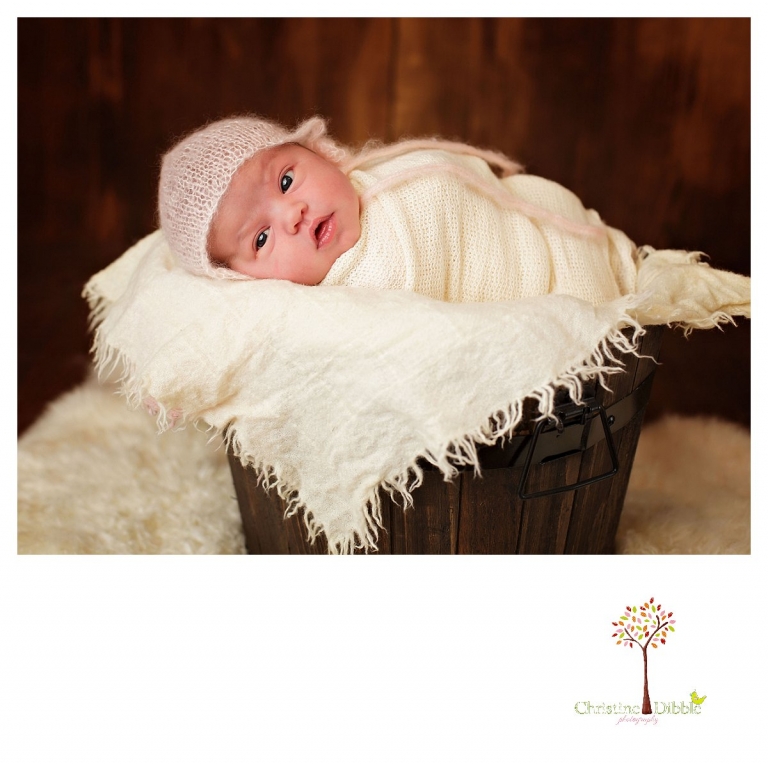 Newborn photography by Sonora photographer Christine Dibble Photography includes studio sessions with mohair bonnets, buckets and fur rugs.