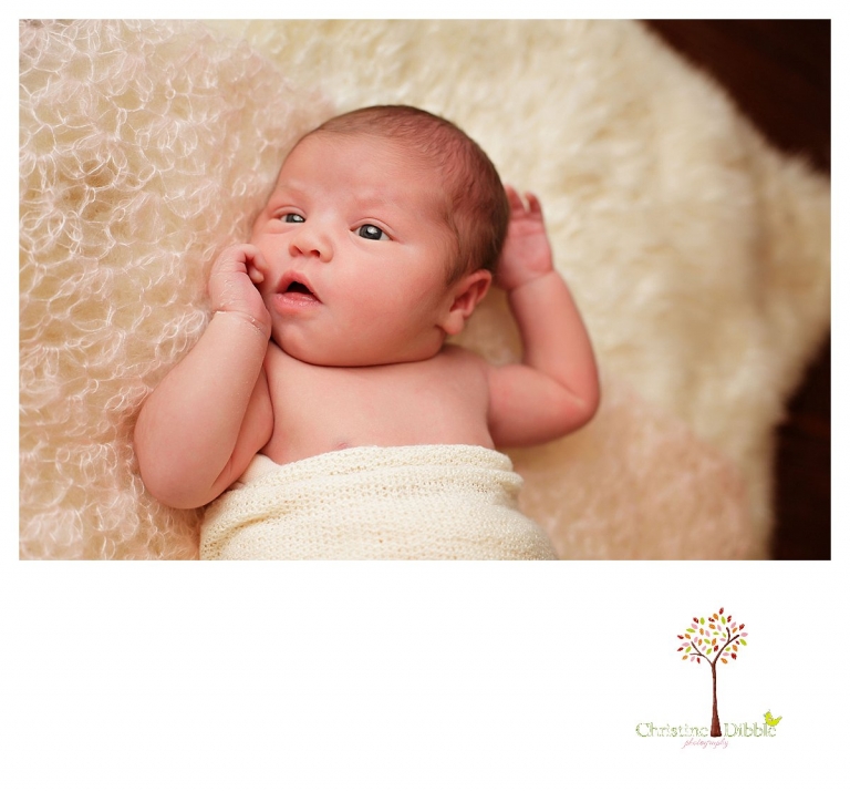 Newborn photography by Sonora photographer Christine Dibble Photography includes studio sessions with posed and prop images of babies who refuse to sleep.