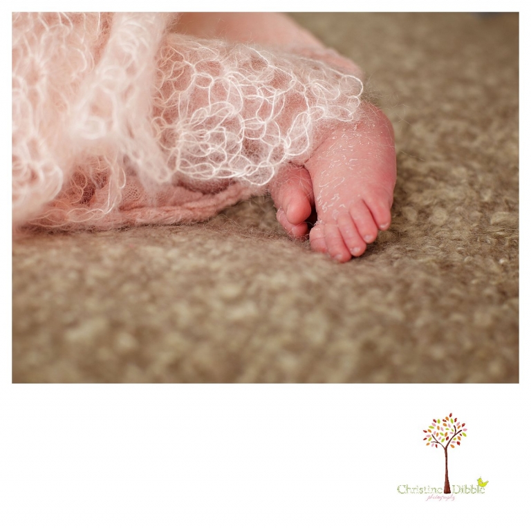 Newborn photography by Sonora photographer Christine Dibble Photography includes studio sessions with posed and prop images and details like tiny peeling feet.