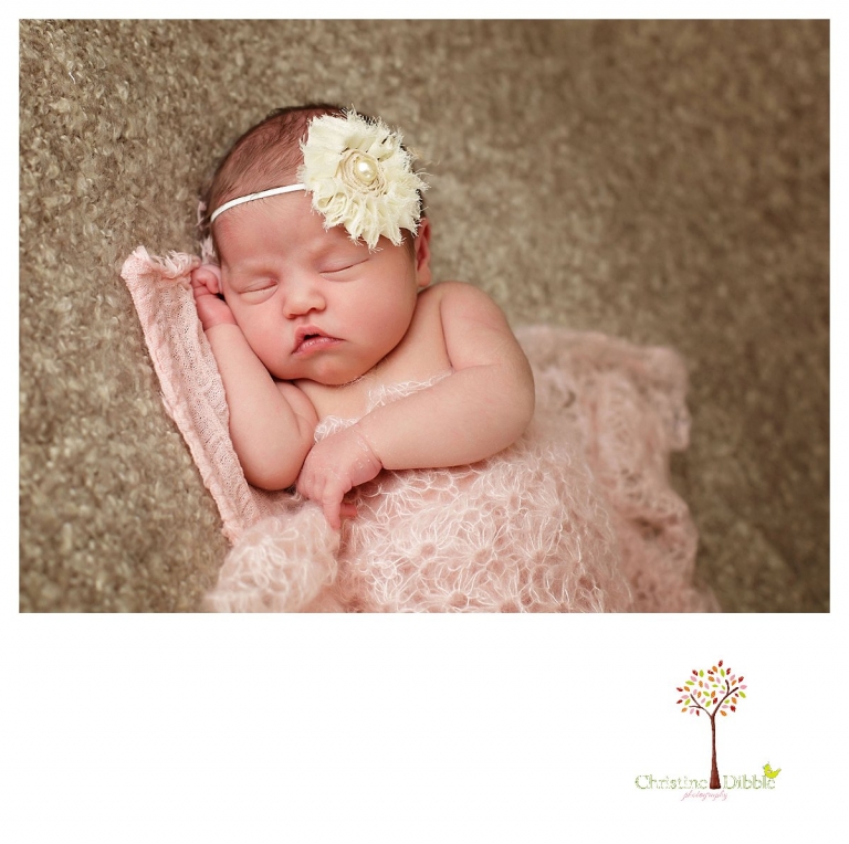 Newborn photography by Sonora photographer Christine Dibble Photography includes studio sessions with headbands and mohair layers.