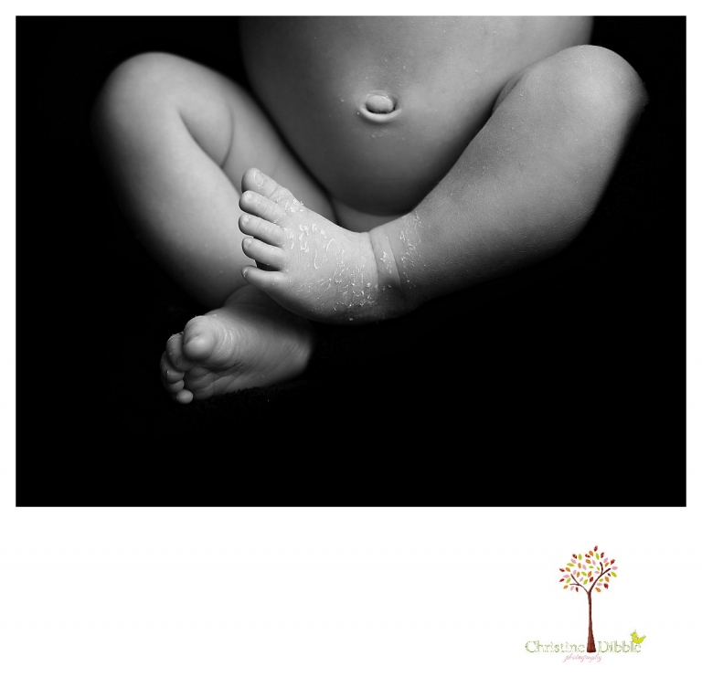Newborn photography by Sonora photographer Christine Dibble Photography includes studio sessions with posed and prop images and details of tiny newborn feet and toes.
