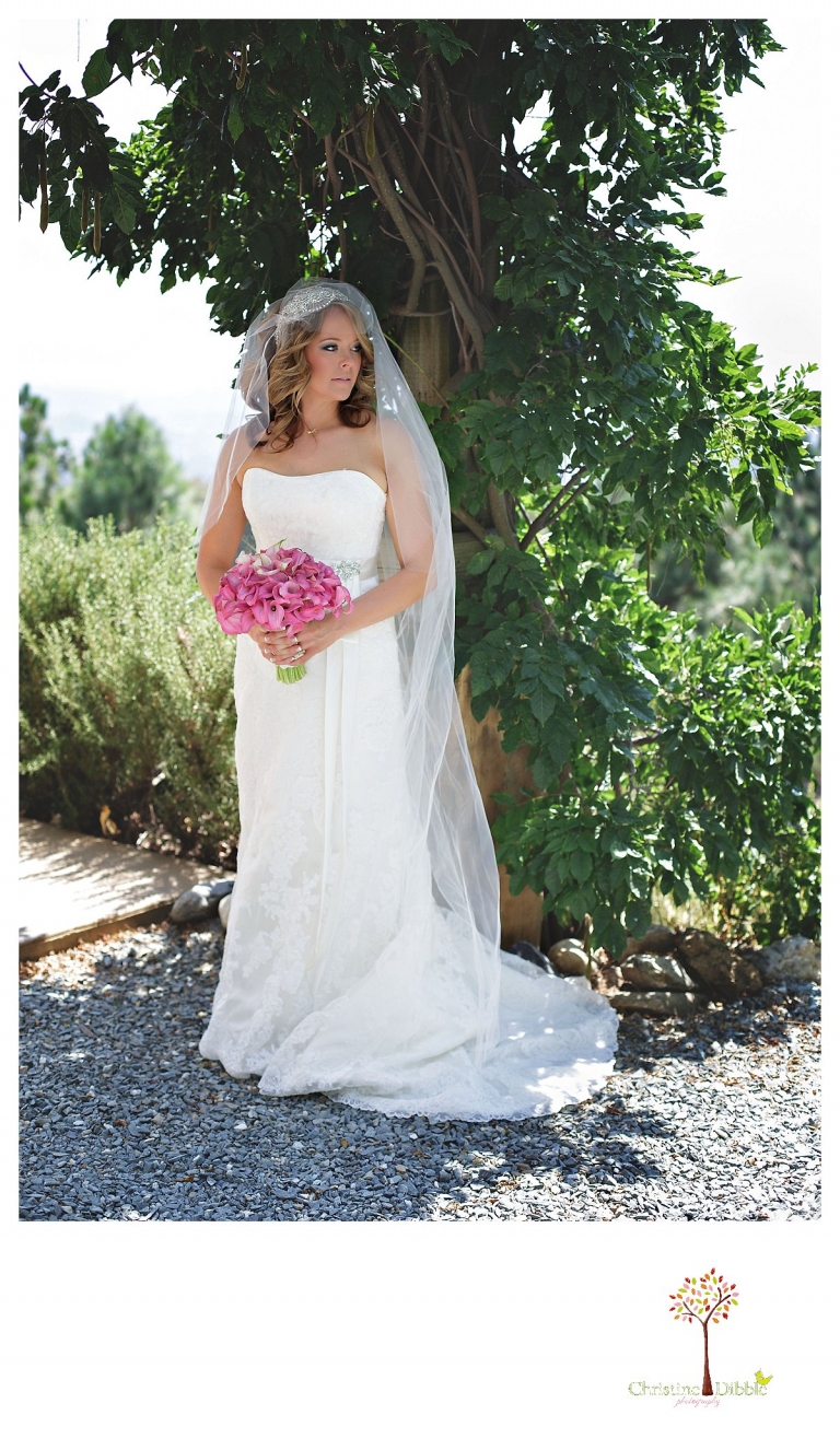 Sonora wedding photographer Christine Dibble Photographer captures a Venticello wedding in Murphys and bridal portraits under a wisteria arbor.