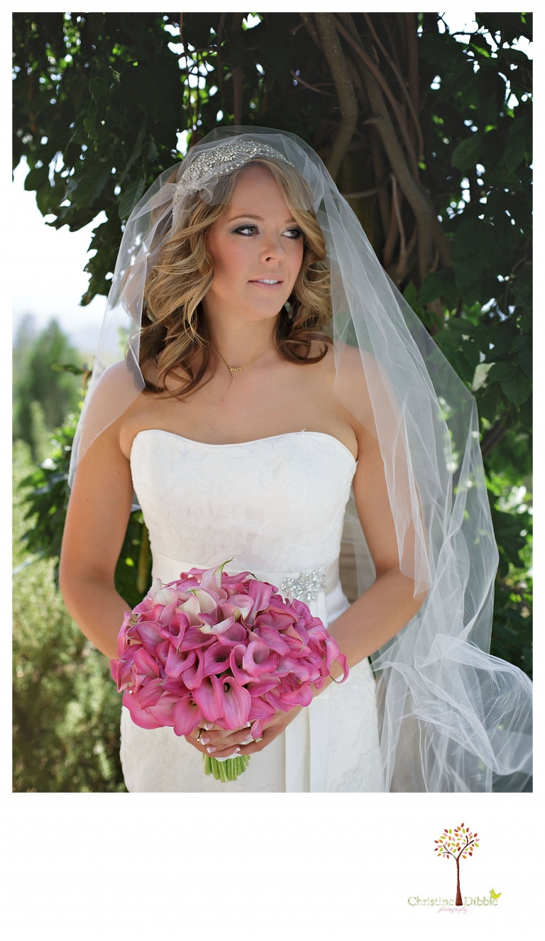 Sonora wedding photographer Christine Dibble Photographer captures a Venticello wedding in Murphys and bridal portraits.