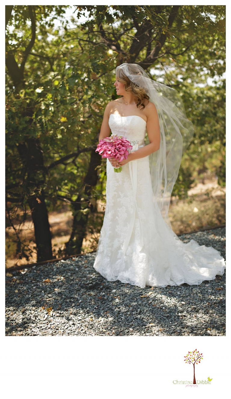 Sonora wedding photographer Christine Dibble Photographer captures a Venticello wedding in Murphys including bridal portraits.ortraits before the ceremony.