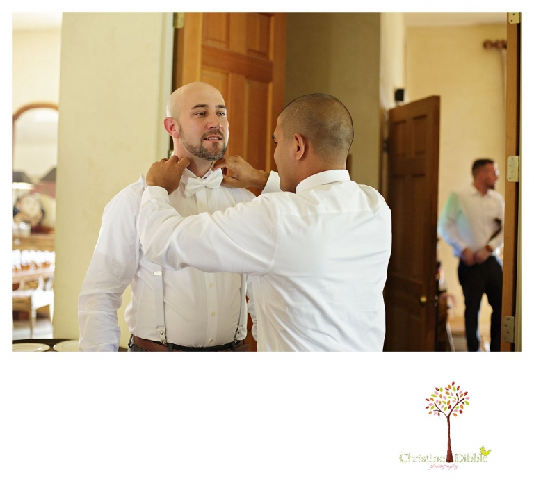 Sonora Venticello Wedding Photographer_0331p.jpg