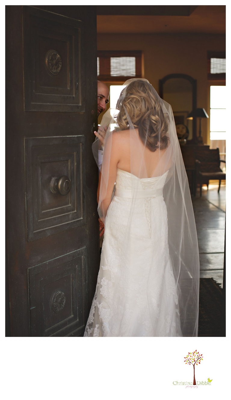 Sonora Venticello Wedding Photographer_0373jp.jpg