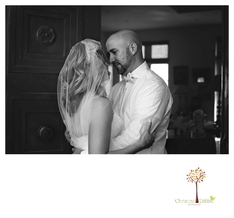 Sonora Venticello Wedding Photographer_0385jpbw.jpg