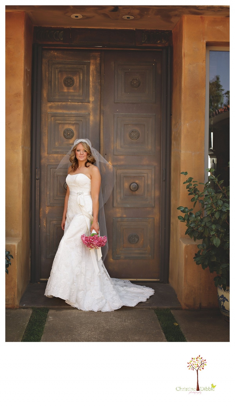 Sonora Venticello Wedding Photographer_0441jp.jpg