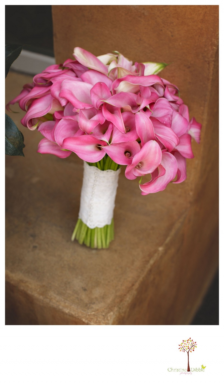 Sonora Venticello Wedding Photographer_0473j.jpg