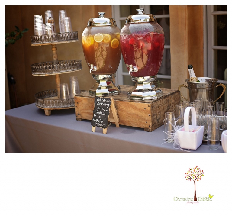 Sonora Venticello Wedding Photographer_0477p.jpg