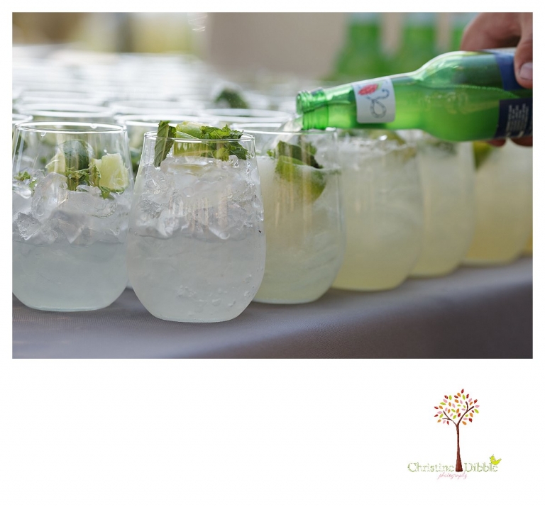 Sonora Venticello Wedding Photographer_0533p.jpg