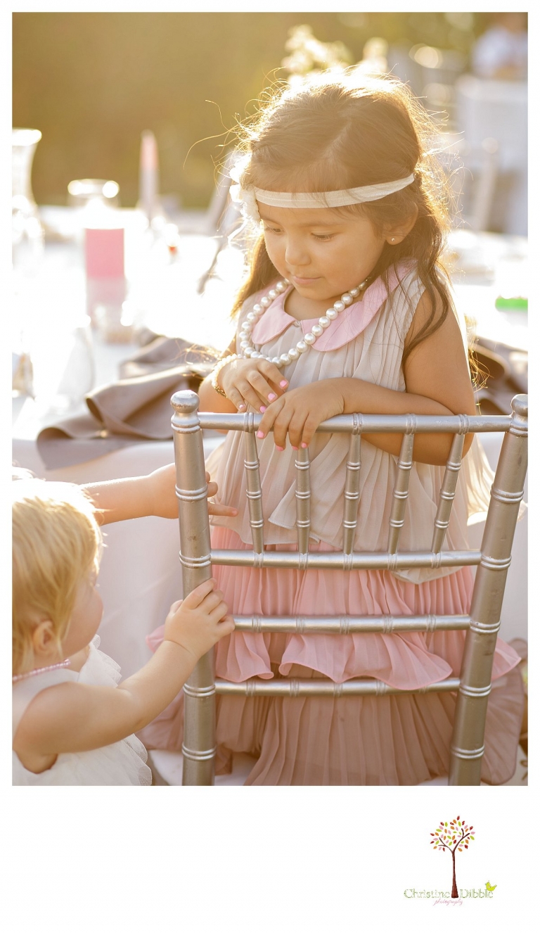 Sonora Venticello Wedding Photographer_0994p.jpg