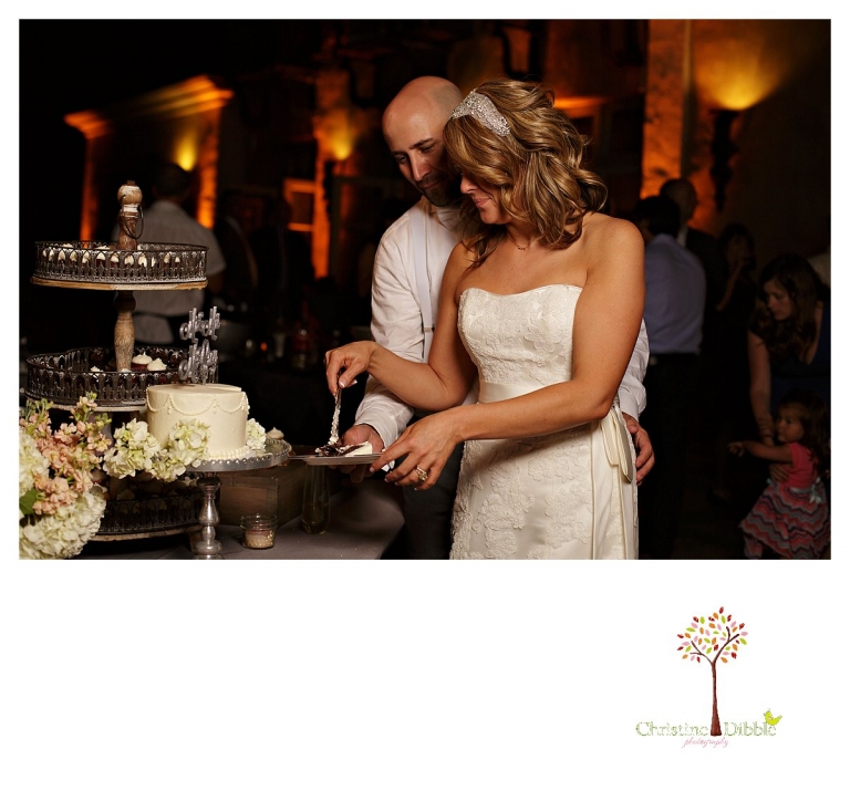 Sonora Venticello Wedding Photographer_1243p.jpg