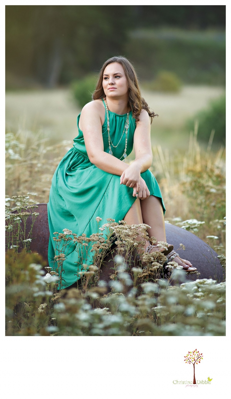 Senior portraits in Sonora taken of a Summerville Class of 2016 senior by Christine Dibble Photography include photos in a field of wildflowers.
