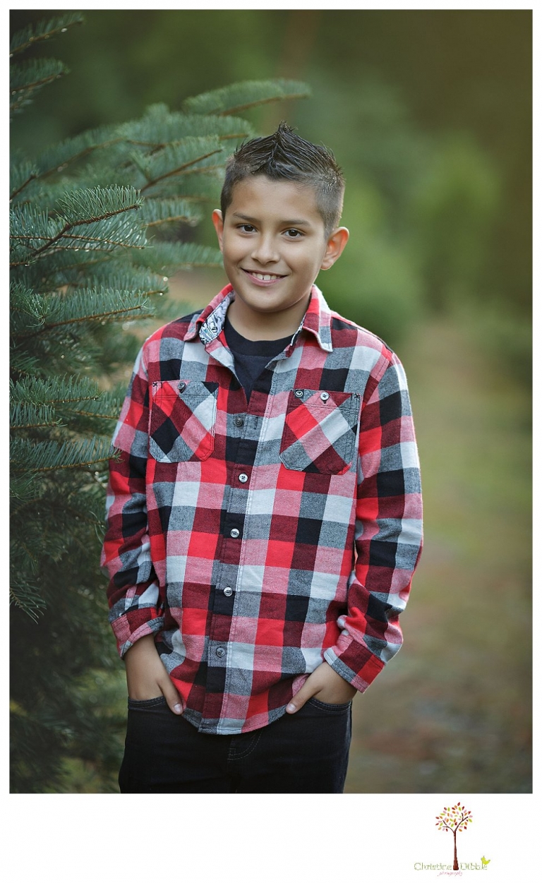 Twain Harte Tree Farm mini sessions by Christine Dibble Photography of Sonora are taken in the Christmas tree fields and include family and child photos.