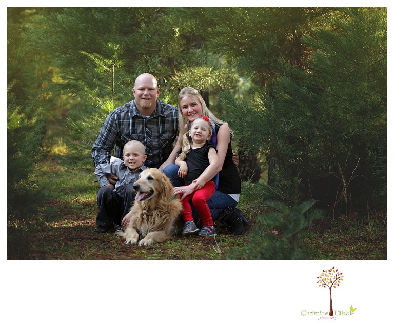 Twain Harte Tree Farm mini sessions by Christine Dibble Photography of Sonora are taken in the Christmas tree fields and include family and child photos.