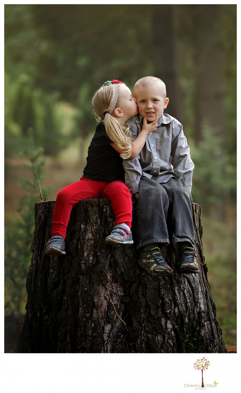 Twain Harte Tree Farm mini sessions by Christine Dibble Photography of Sonora are taken in the Christmas tree fields and include family and child photos.