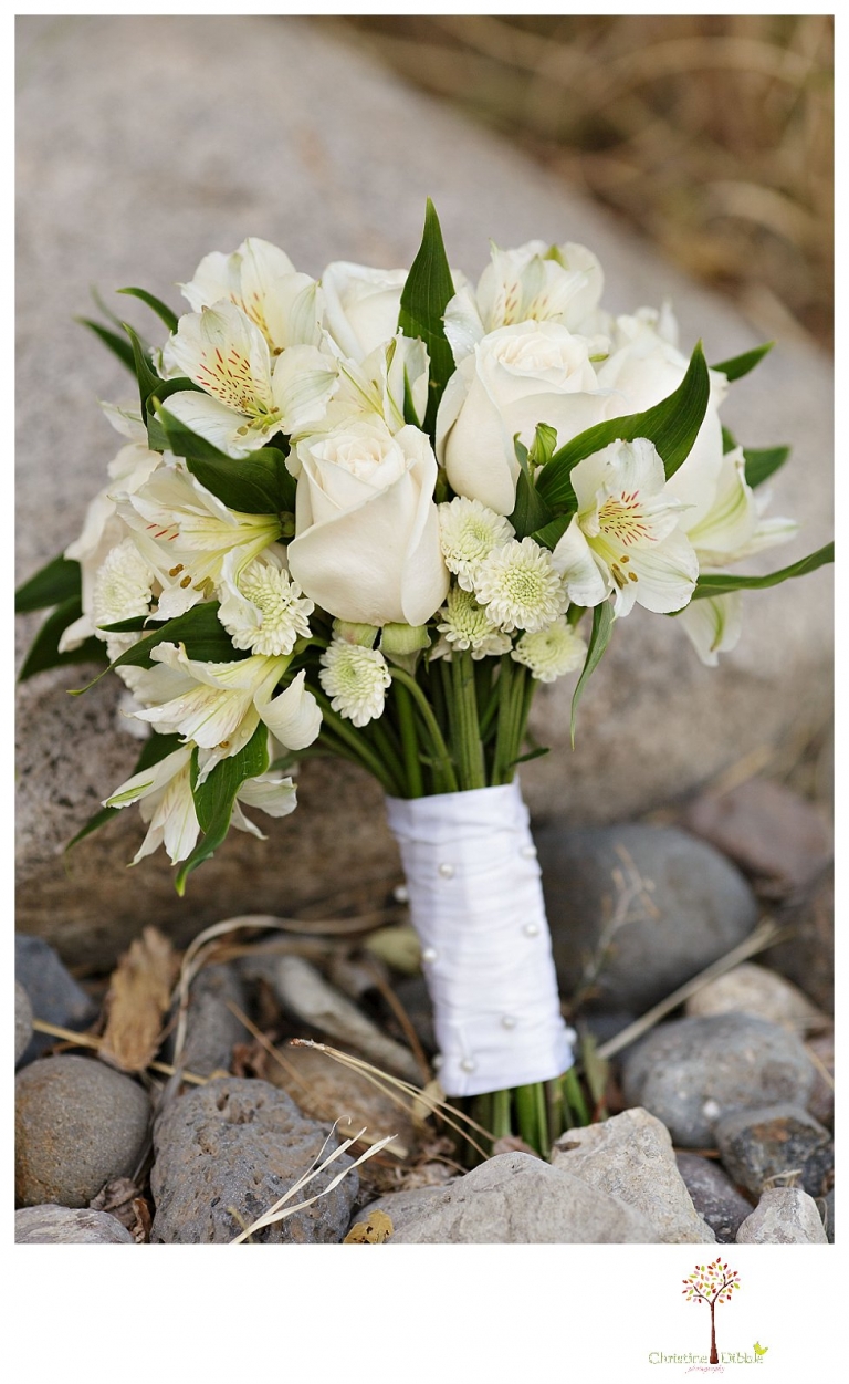 Sonora Reno Wedding Photographer_5909.jpg