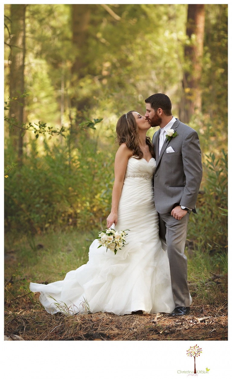 Sonora Reno Wedding Photographer_6125jp.jpg