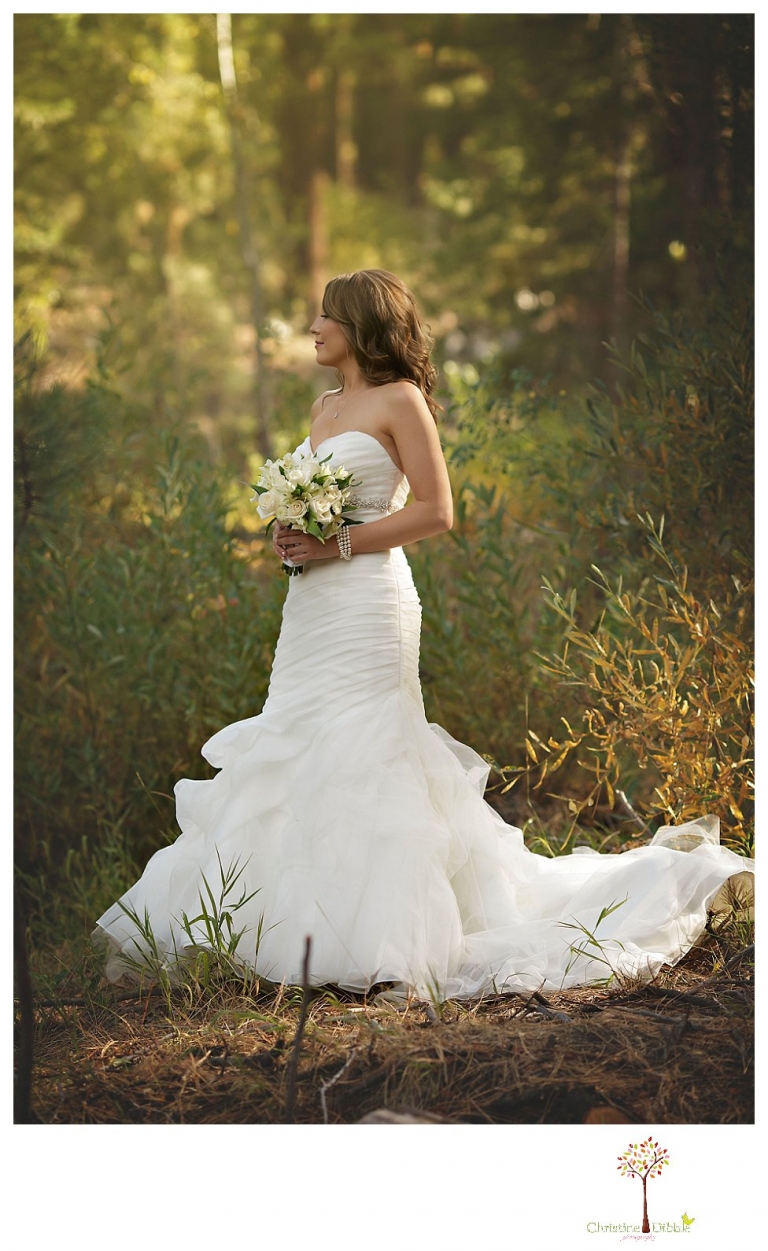 Sonora Reno Wedding Photographer_6160jp.jpg