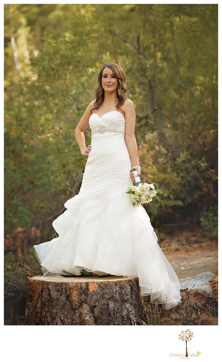 Sonora Reno Wedding Photographer_6192jp.jpg