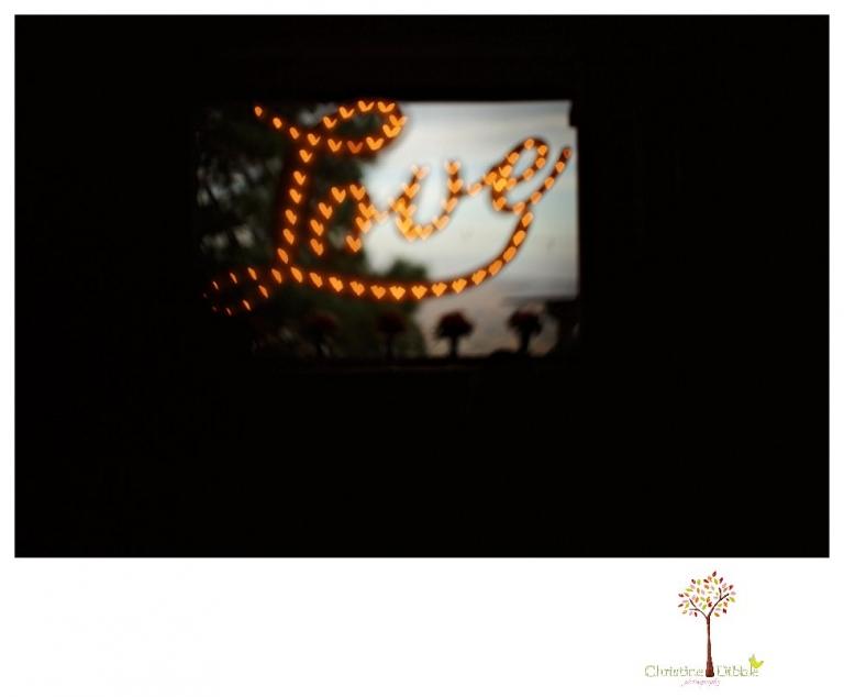 Sonora Reno Wedding Photographer_6484p.jpg