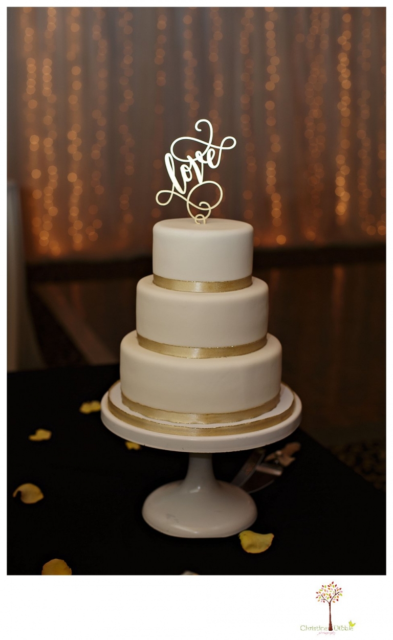 Sonora Reno Wedding Photographer_6505.jpg