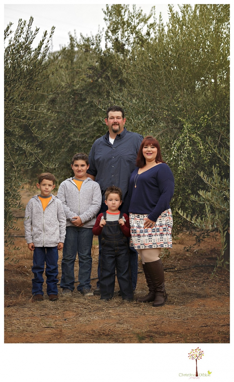 Sonora family photographer Christine Dibble Photography takes family portraits in Angels Camp of a family with three boys on private property with olive trees and a pond.