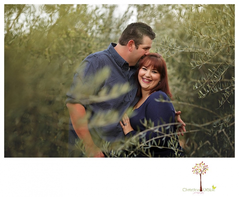 Sonora family photographer Christine Dibble Photography takes family portraits in Angels Camp of a family with three boys on private property with olive trees and a pond.