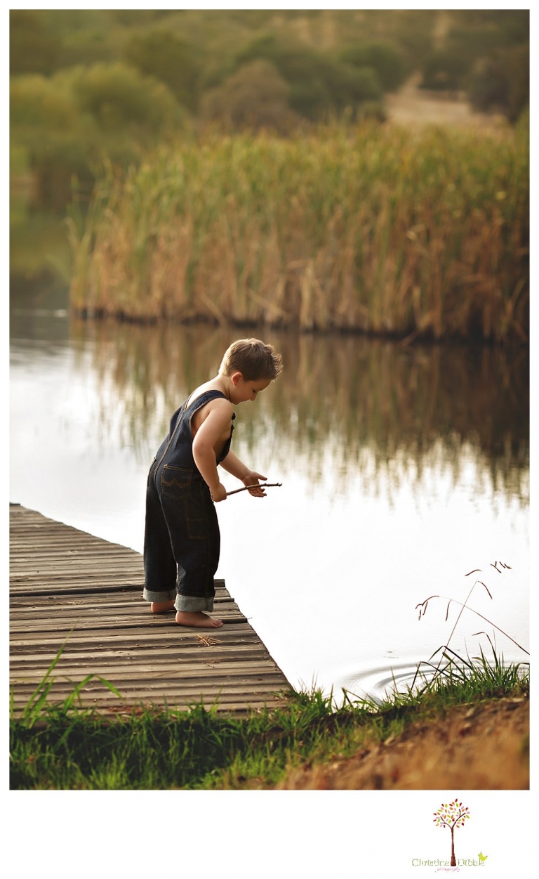 Sonora family photographer Christine Dibble Photography takes family portraits in Angels Camp of a family with three boys on private property with olive trees and a pond.