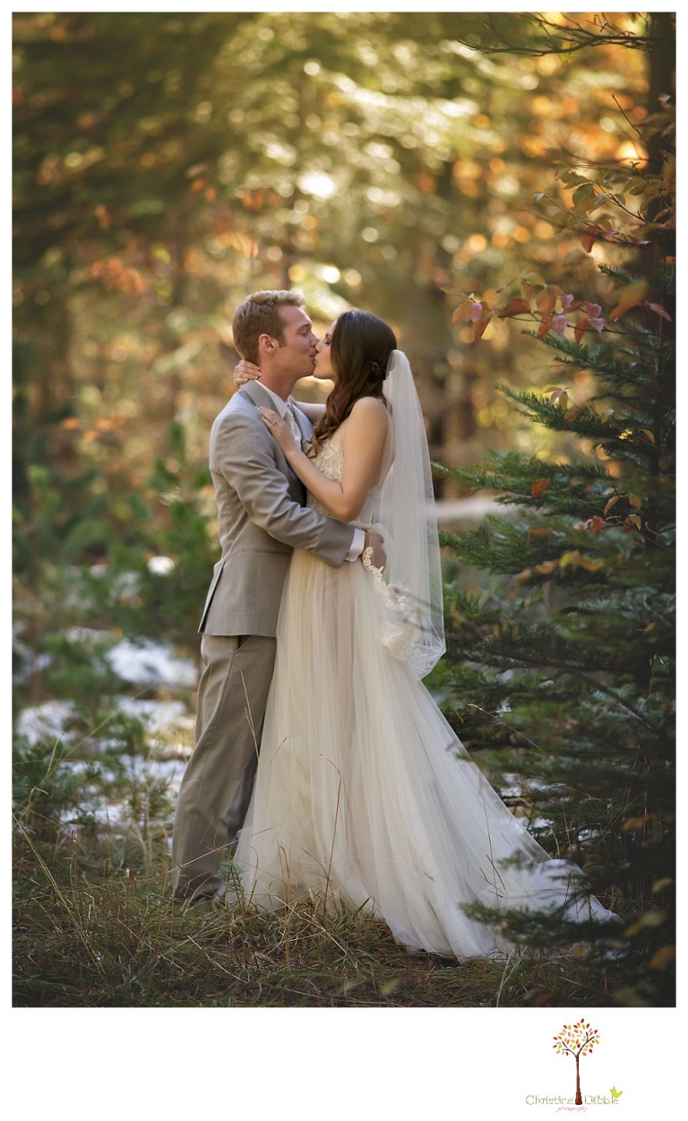 Calaveras Big Trees wedding photographed by Sonora and Arnold wedding photographer Christine Dibble Photography at a cabin in Arnold, Big Trees Park, and the reception at Jack Knight Hall.