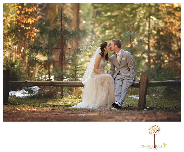 Calaveras Big Trees wedding photographed by Sonora and Arnold wedding photographer Christine Dibble Photography at a cabin in Arnold, Big Trees Park, and the reception at Jack Knight Hall.