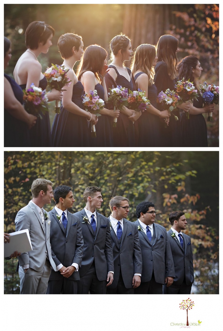 Calaveras Big Trees wedding photographed by Sonora and Arnold wedding photographer Christine Dibble Photography at a cabin in Arnold, Big Trees Park, and the reception at Jack Knight Hall.