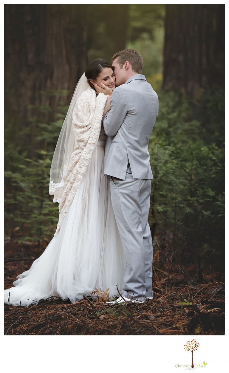 Calaveras Big Trees wedding photographed by Sonora and Arnold wedding photographer Christine Dibble Photography at a cabin in Arnold, Big Trees Park, and the reception at Jack Knight Hall.