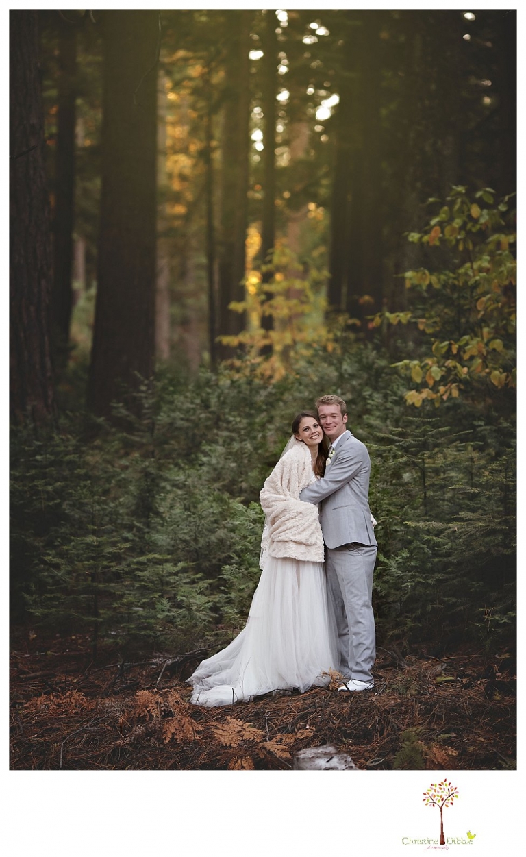 Calaveras Big Trees wedding photographed by Sonora and Arnold wedding photographer Christine Dibble Photography at a cabin in Arnold, Big Trees Park, and the reception at Jack Knight Hall.