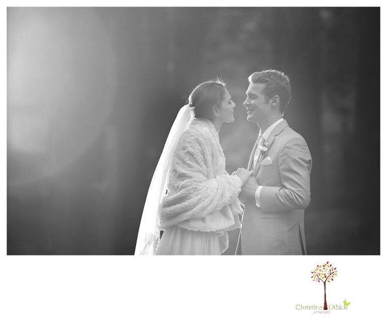 Calaveras Big Trees wedding photographed by Sonora and Arnold wedding photographer Christine Dibble Photography at a cabin in Arnold, Big Trees Park, and the reception at Jack Knight Hall.