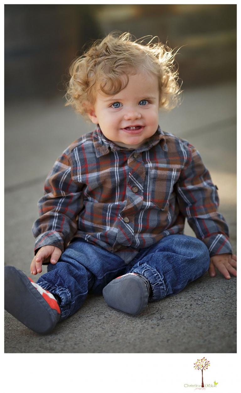 Sonora and Murphys family and child photographer Christine Dibble Photography takes fall family photos at Ironstone Vineyards of a family with small children.