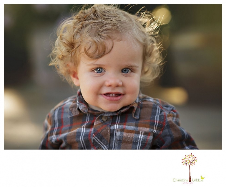 Sonora and Murphys family and child photographer Christine Dibble Photography takes fall family photos at Ironstone Vineyards of a family with small children.