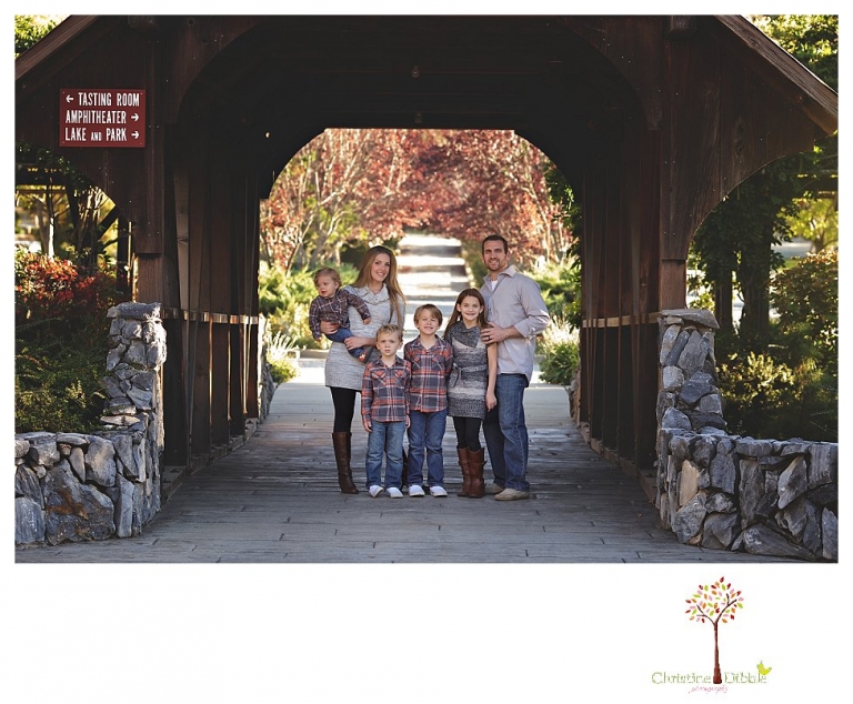 Ironstone Vineyards photographer, Sonora and Murphys photographer Christine Dibble Photography, takes fall family portraits of a family with young children.