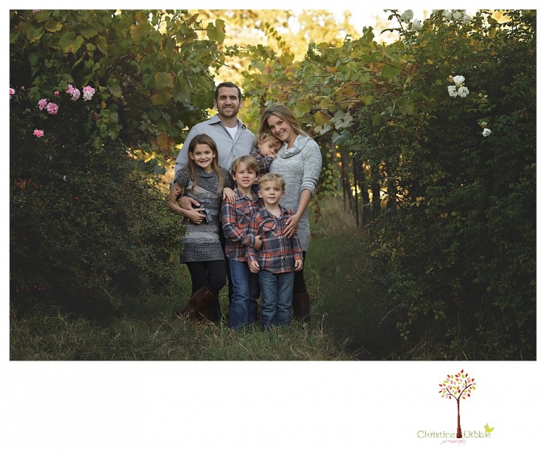Ironstone Vineyards photographer, Sonora and Murphys photographer Christine Dibble Photography, takes fall family portraits of a family with young children.